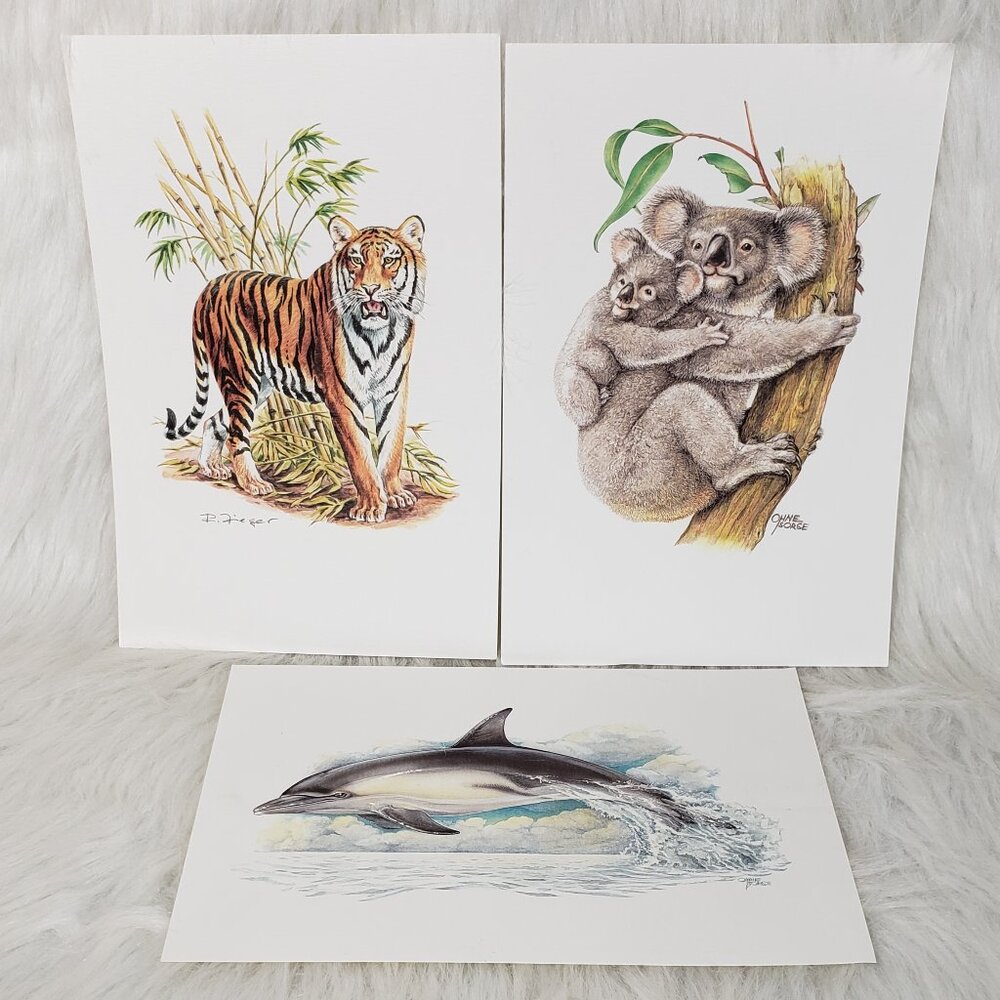 Vintage Animal Prints Mammal Cards Tiger Koala Dolphin Animal Facts Prints